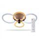 Купити Світильник на стелю з пультом LED Ardero AL6134ARD FELICITY 76Вт 2700-6500К - 1
