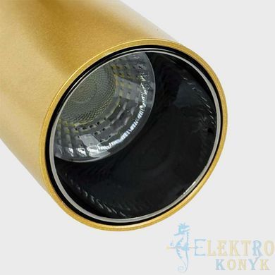Купити Магнітний трековий світильник RAYFOR MT Nano Focus 12 золотий 12W 1020Lm 30-40-50К 48V WiFi у Львові, Києві, Дніпрі, Одесі, Харкові