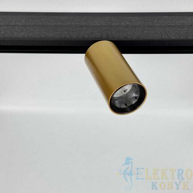 Купити Магнітний трековий світильник RAYFOR MT Nano Focus 12 золотий 12W 1020Lm 30-40-50К 48V WiFi у Львові, Києві, Дніпрі, Одесі, Харкові