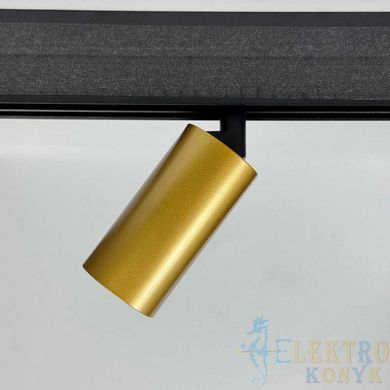 Купити Магнітний трековий світильник RAYFOR MT Nano Focus 12 золотий 12W 1020Lm 30-40-50К 48V WiFi у Львові, Києві, Дніпрі, Одесі, Харкові