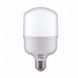 Купити Світлодіодна лампа TORCH-20 20W E27 6400K - 1