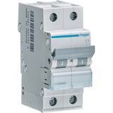 Купить Автоматичний вимикач Hager MCN263 2P 63А 6 кА C