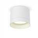 Купить Накладной точечный светильник VIDEX IP44 GX53 SPF19A (Белый) - 2
