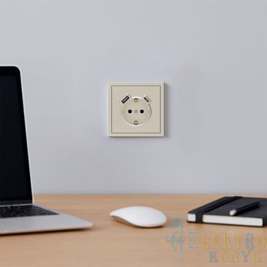 Купити Розетка одинарна із заземленням та USB-A+C 20W Ardero Soft механізм (Шампань) у Львові, Києві, Дніпрі, Одесі, Харкові
