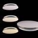 Купити Світильник на стелю LED на пульт ULM ULMS-R01-M-450-90-L7 90W матовий (Білий) - 2