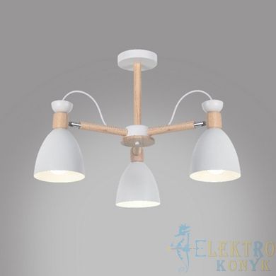 Купити Світильник на стелю LED Ardero AL6193-1ARD SCANDY Е27 у Львові, Києві, Дніпрі, Одесі, Харкові