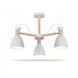 Купити Світильник на стелю LED Ardero AL6193-1ARD SCANDY Е27 - 1