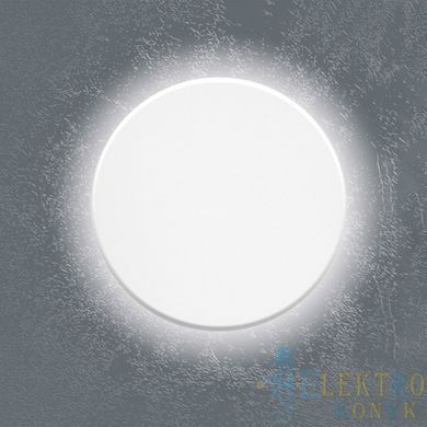Купити Настінний LED світильник VIDEX IP65 WL03 12W 3000K-4000K-6500K (Білий) у Львові, Києві, Дніпрі, Одесі, Харкові