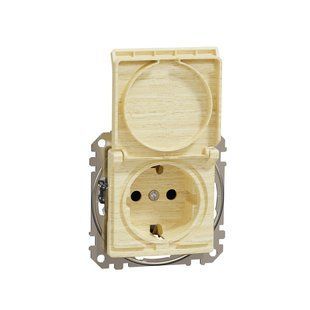 Купить Розетка с заземлением со шторками и крышкой Schneider Sedna Elements IP44 (Берёза) во Львове, Киеве, Днепре, Одессе, Харькове
