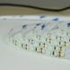 Купити Світлодіодна стрічка BIOM Professional BPS-G3-12-2835-120-NW-20 12V IP20 (Нейтральна) - 3