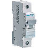 Купити Автоматичний вимикач Hager MBN132 1P 32А 6 кА B