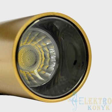 Купити Магнітний трековий світильник RAYFOR MT Nano Focus 7 золотий 7W 600Lm 30-40-50К 48V WiFi у Львові, Києві, Дніпрі, Одесі, Харкові