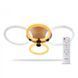 Купить Потолочный светильник с пультом LED Ardero AL6134-1ARD FELICITY GOLD 76Вт 2700-6500К - 1